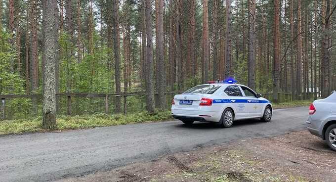 Тело мужчины нашли в автомобиле в московском дворе